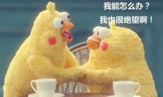 1504665175mXM6.jpg